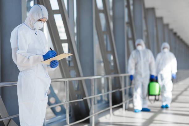 Best Basement Mold Removal  in East Rochester, NY