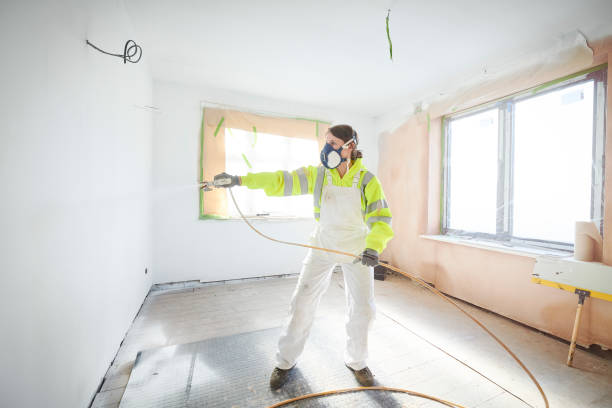  East Rochester, NY Mold Removal Pros