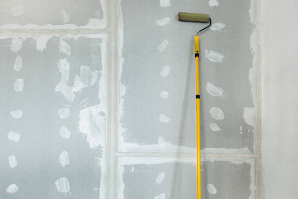 Best Environmental Consulting for Mold Prevention  in East Rochester, NY