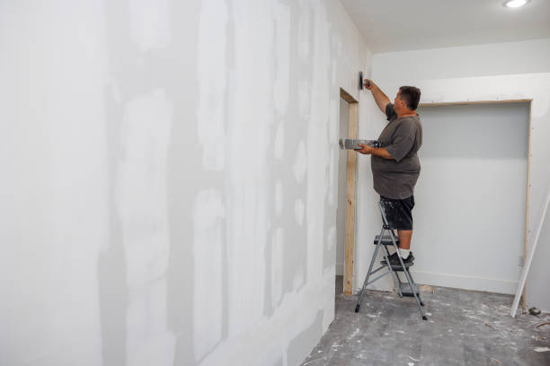 Best Emergency Mold Remediation  in East Rochester, NY