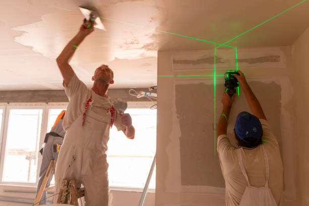 Professional Mold Removal in East Rochester, NY