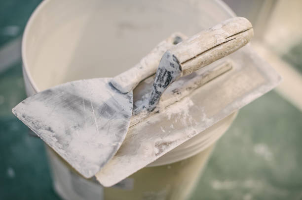 Best Mold Odor Removal Services  in East Rochester, NY