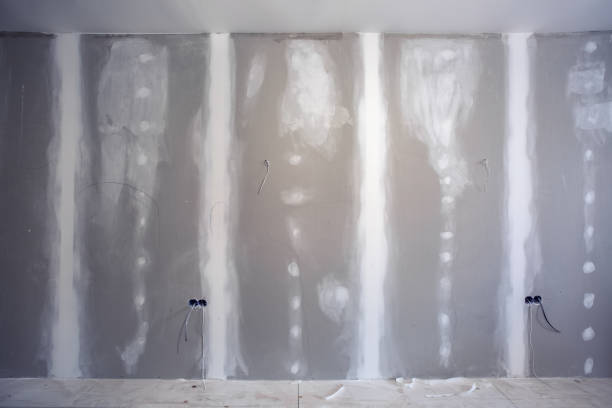 Best Mold Documentation for Insurance Claims  in East Rochester, NY